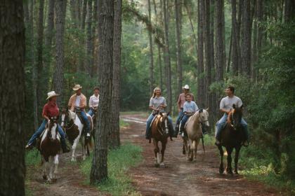 The Cabins at Disney's Fort Wilderness Resort Horseriding